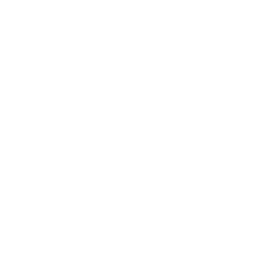 Manus